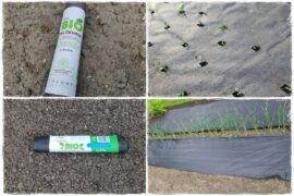 Biowłóknina ściółkująca 0