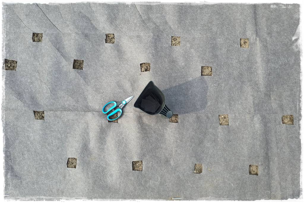 Biowłóknina ściółkująca 19