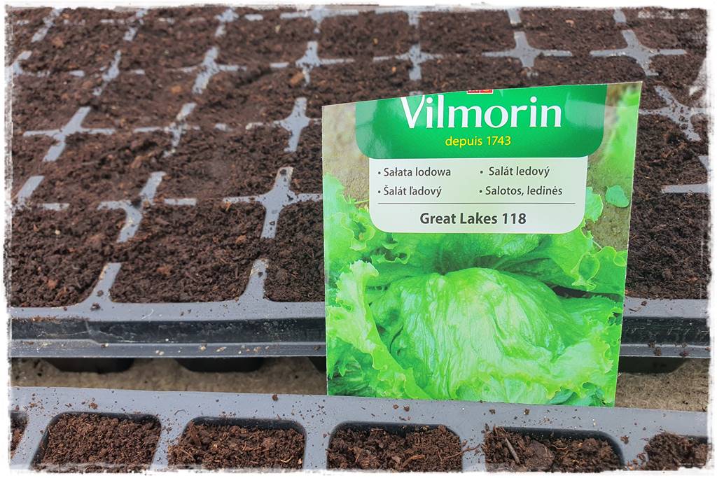 Biowłóknina ściółkująca 24