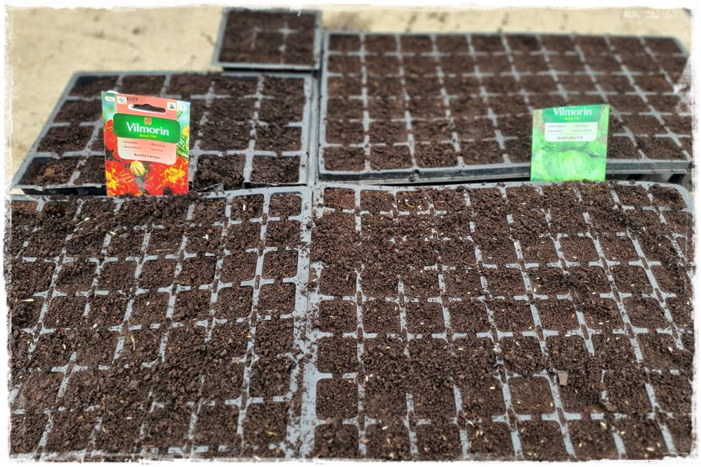 Biowłóknina ściółkująca 25