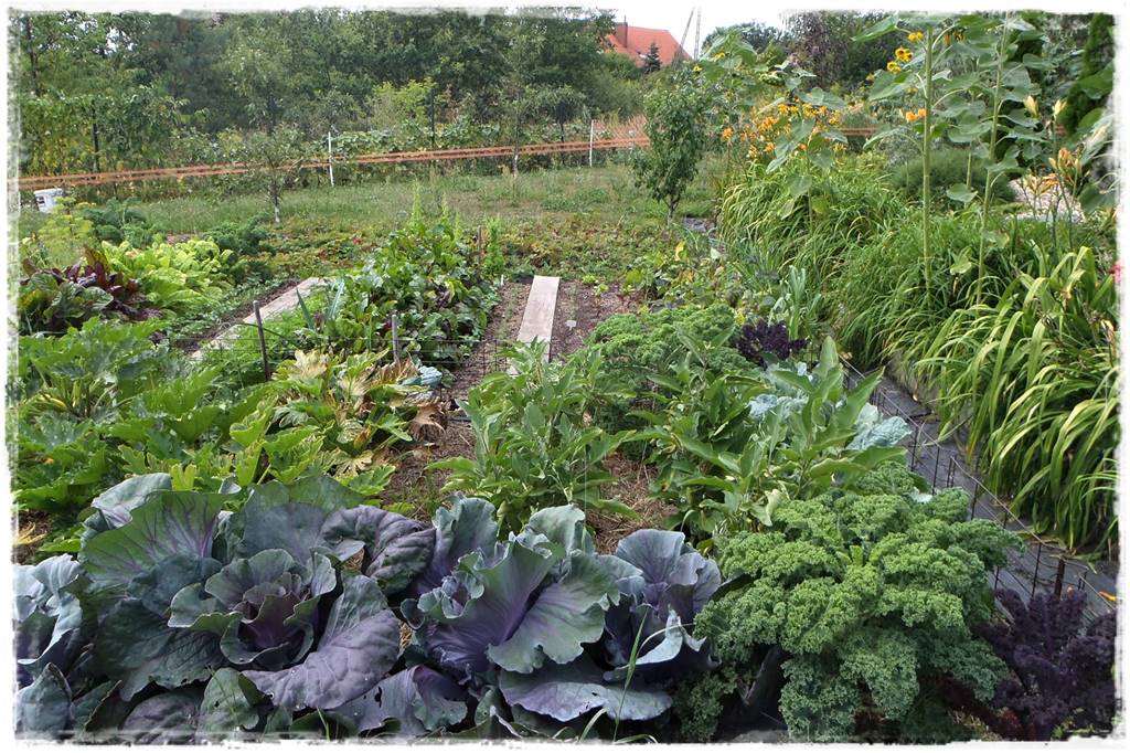 Biowłóknina ściółkująca 3