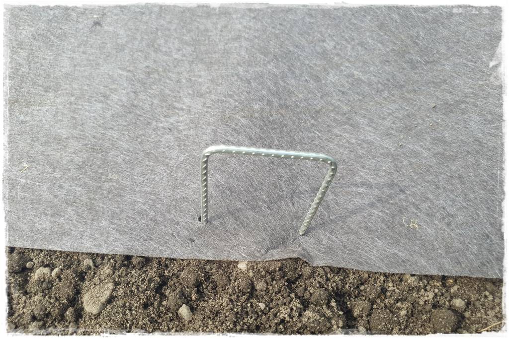 Biowłóknina ściółkująca 31