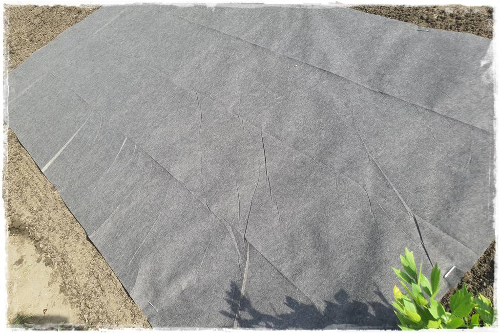 Biowłóknina ściółkująca 33