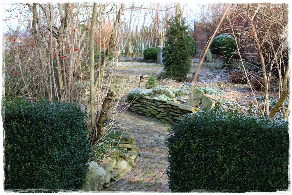 Co zamiast bukszpanu 13a Co zamiast bukszpanu 13a