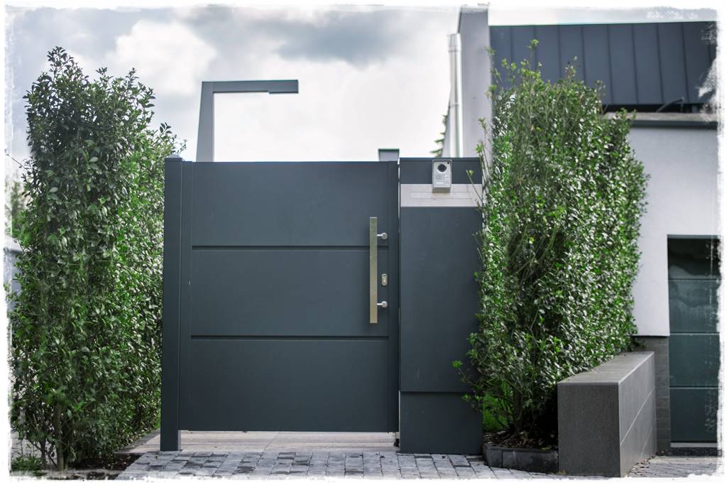 Co zamiast bukszpanu 253a Co zamiast bukszpanu 253a