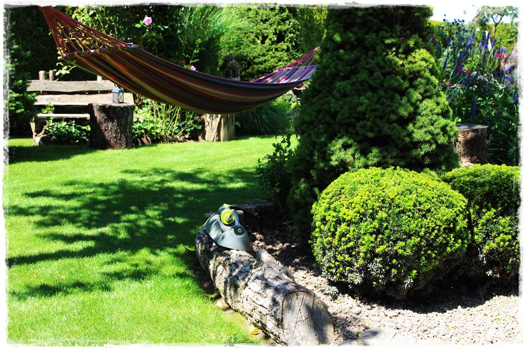 Co zamiast bukszpanu 31 Co zamiast bukszpanu 31