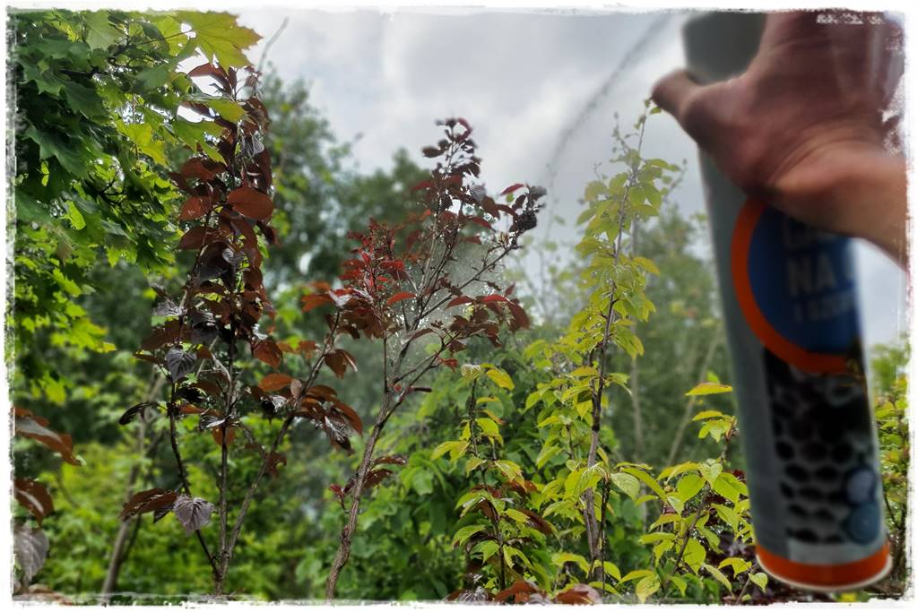 Gaśnica na osy 22 Gaśnica na osy 22