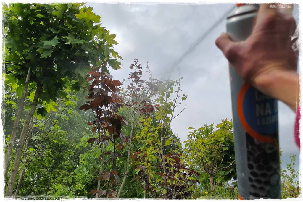 Gaśnica na osy 23 Gaśnica na osy 23