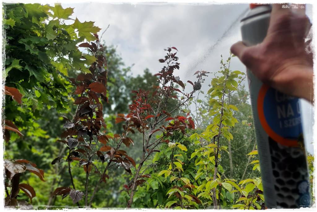 Gaśnica na osy 24 Gaśnica na osy 24