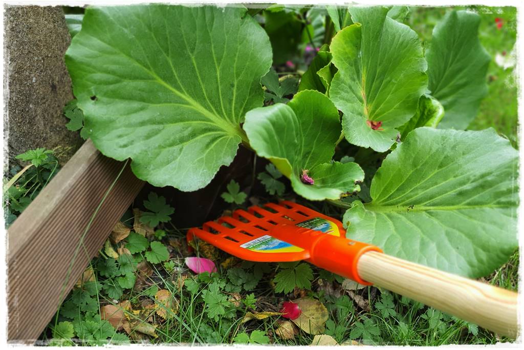 Grabie ogrodowe 12 Grabie ogrodowe 12