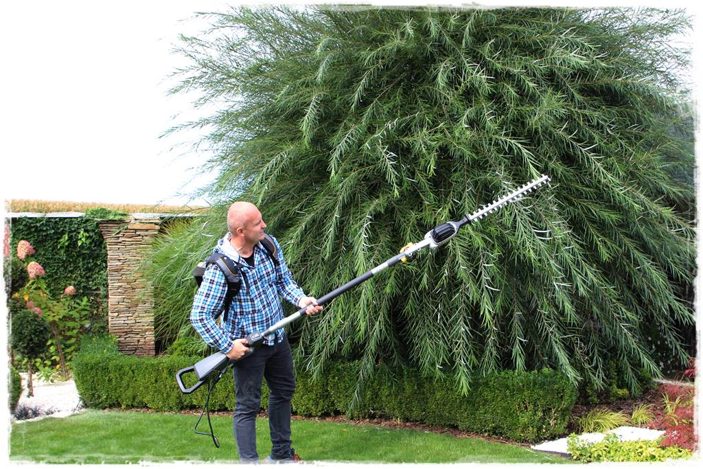 Ogród dla niecierpliwych 16 Ogród dla niecierpliwych 16