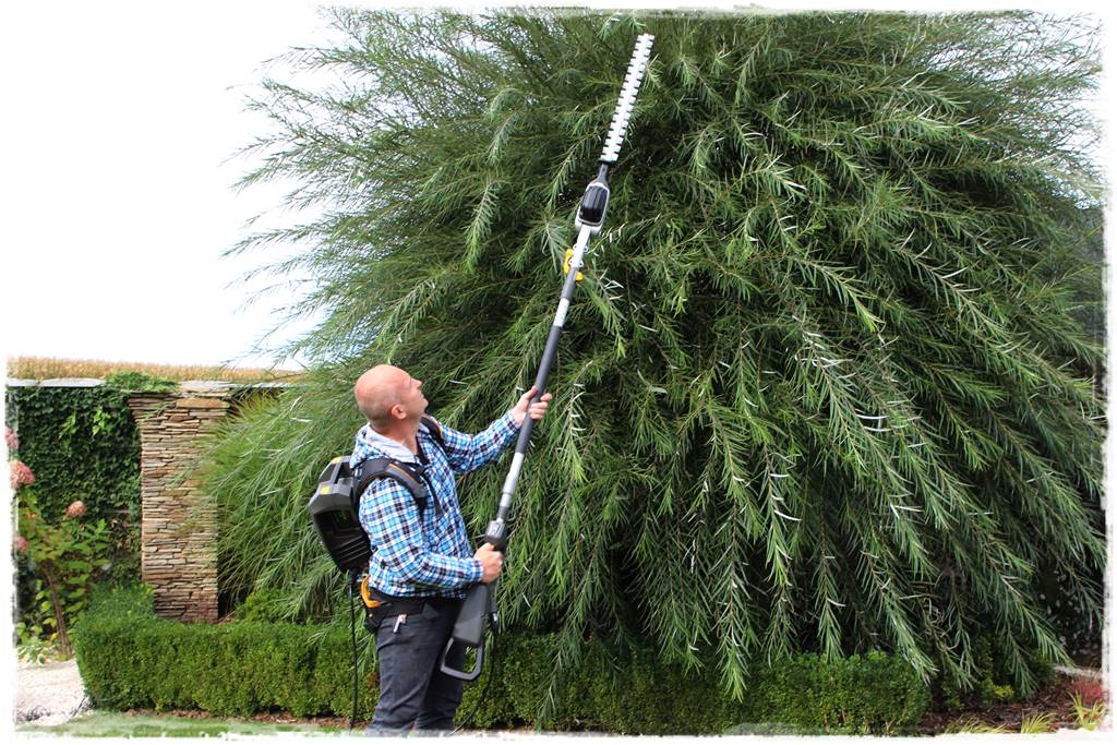 Ogród dla niecierpliwych 16a Ogród dla niecierpliwych 16a