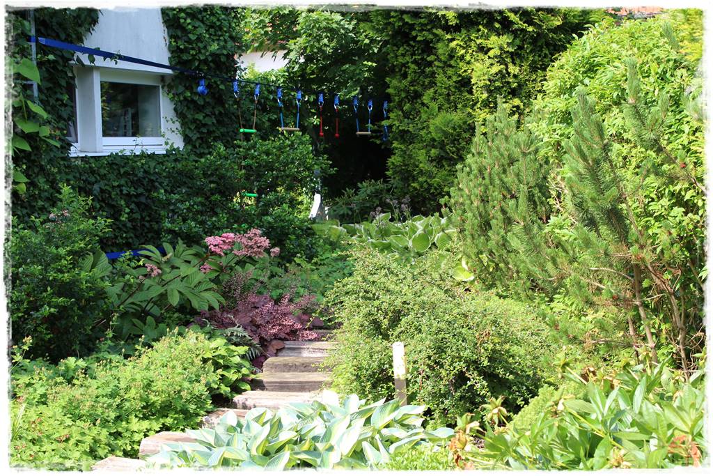 Ogród dla niecierpliwych 16b Ogród dla niecierpliwych 16b