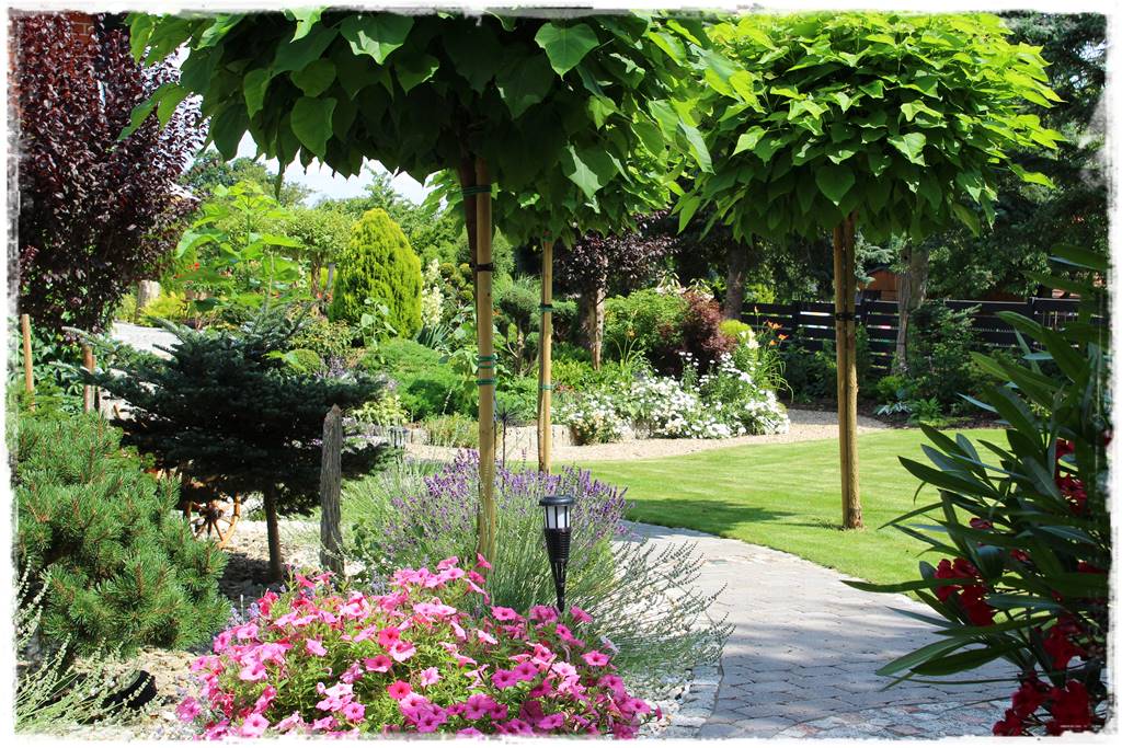 Ogród dla niecierpliwych 2 Ogród dla niecierpliwych 2