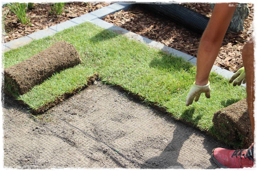 Ogród dla niecierpliwych 30a Ogród dla niecierpliwych 30a