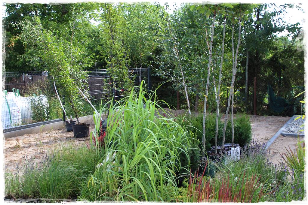 Ogród dla niecierpliwych 36a Ogród dla niecierpliwych 36a