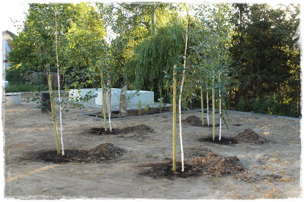 Ogród dla niecierpliwych 36b Ogród dla niecierpliwych 36b