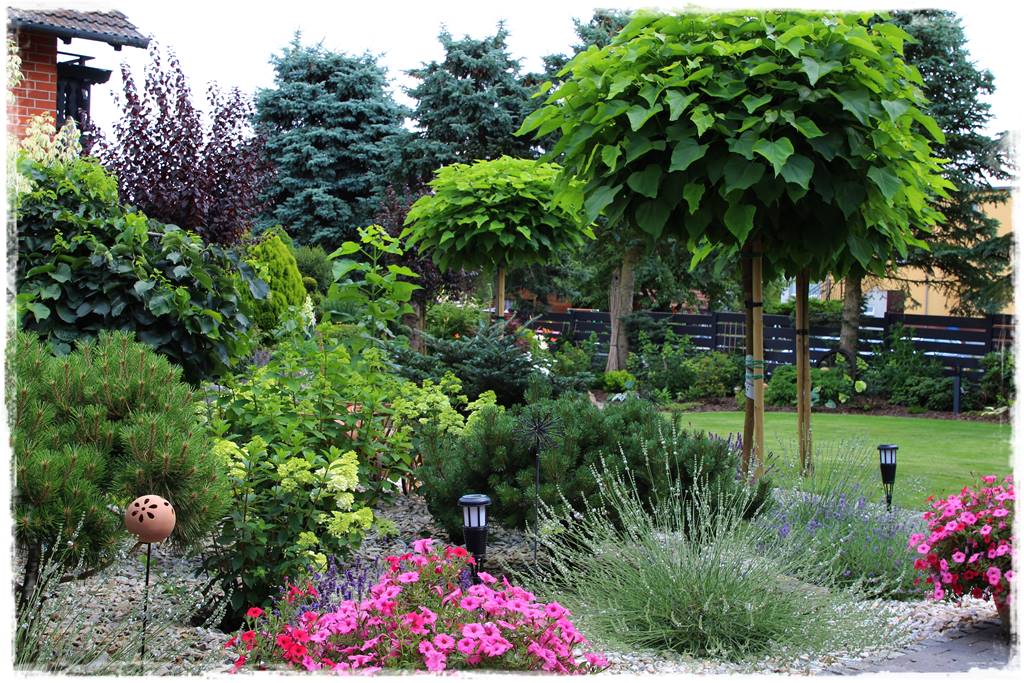 Ogród dla niecierpliwych 37 Ogród dla niecierpliwych 37