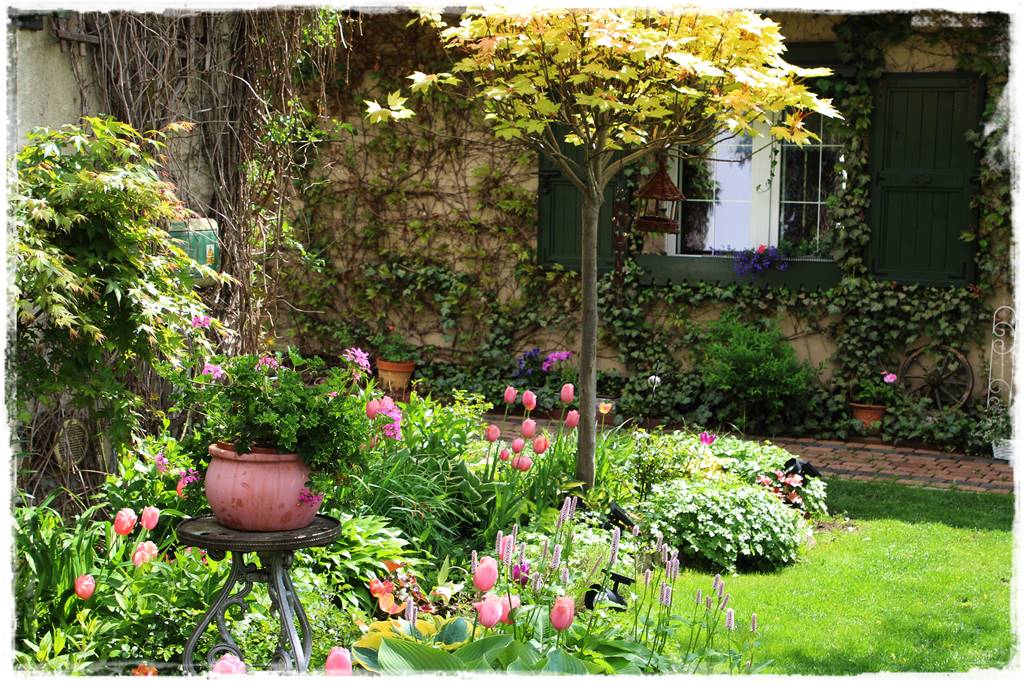 Ogród dla niecierpliwych 39 Ogród dla niecierpliwych 39