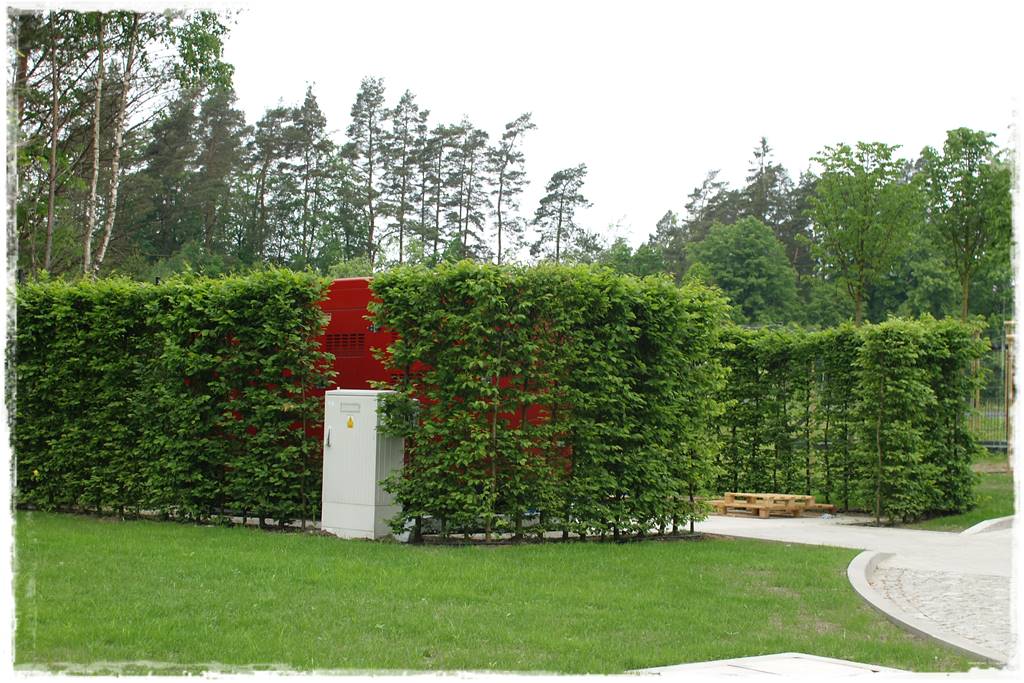 OLYMPUS DIGITAL CAMERA OLYMPUS DIGITAL CAMERA