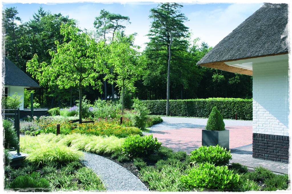 Ogród dla niecierpliwych 56 Ogród dla niecierpliwych 56