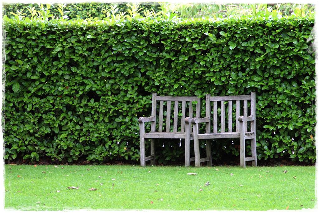 Ogród dla niecierpliwych 58 Ogród dla niecierpliwych 58