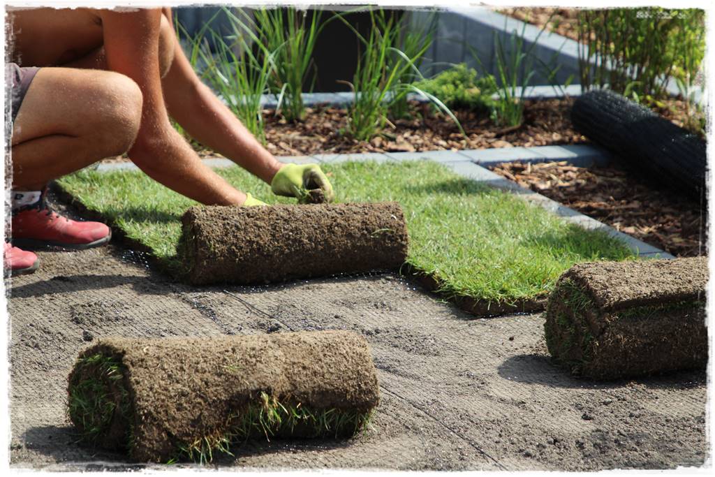 Ogród dla niecierpliwych 5b Ogród dla niecierpliwych 5b