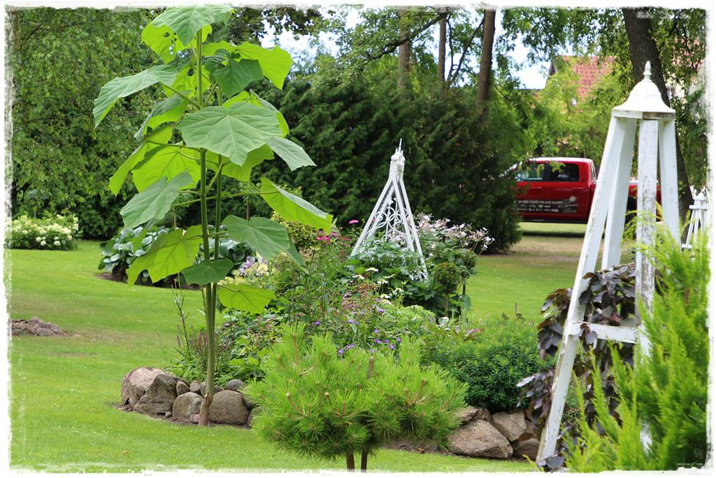 Ogród dla niecierpliwych 6 Ogród dla niecierpliwych 6