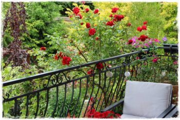 Ogród przy szeregówce 1