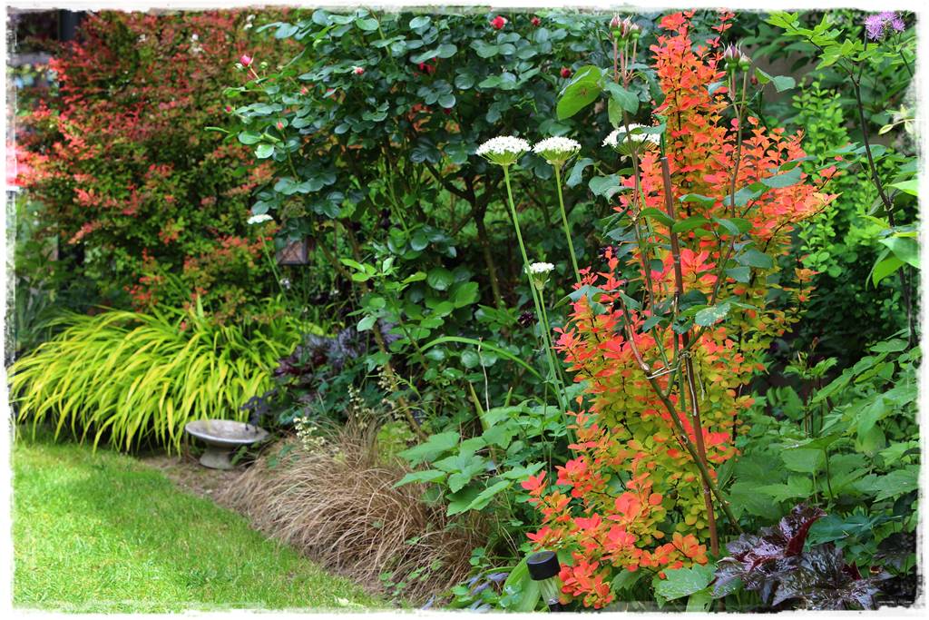 Ogród przy szeregówce 10