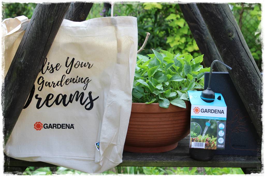 Ogród przy szeregówce 100