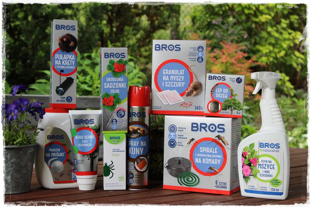 Ogród przy szeregówce 101