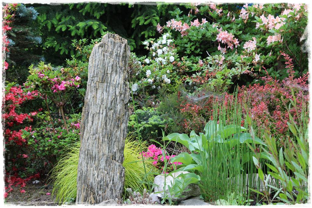 Ogród przy szeregówce 106