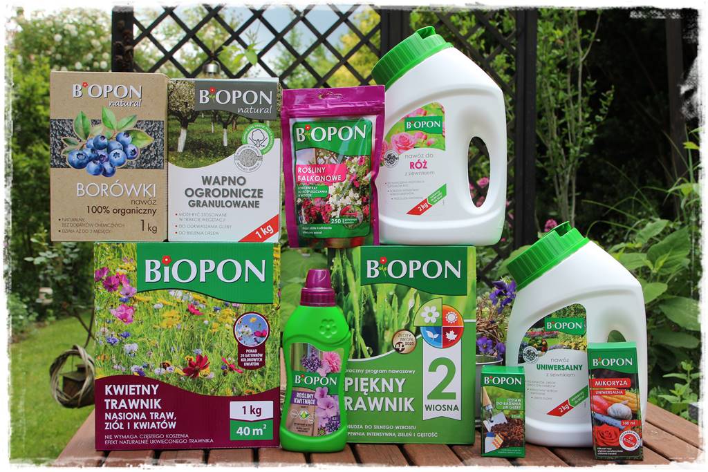 Ogród przy szeregówce 108