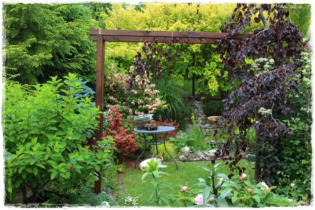 Ogród przy szeregówce 11