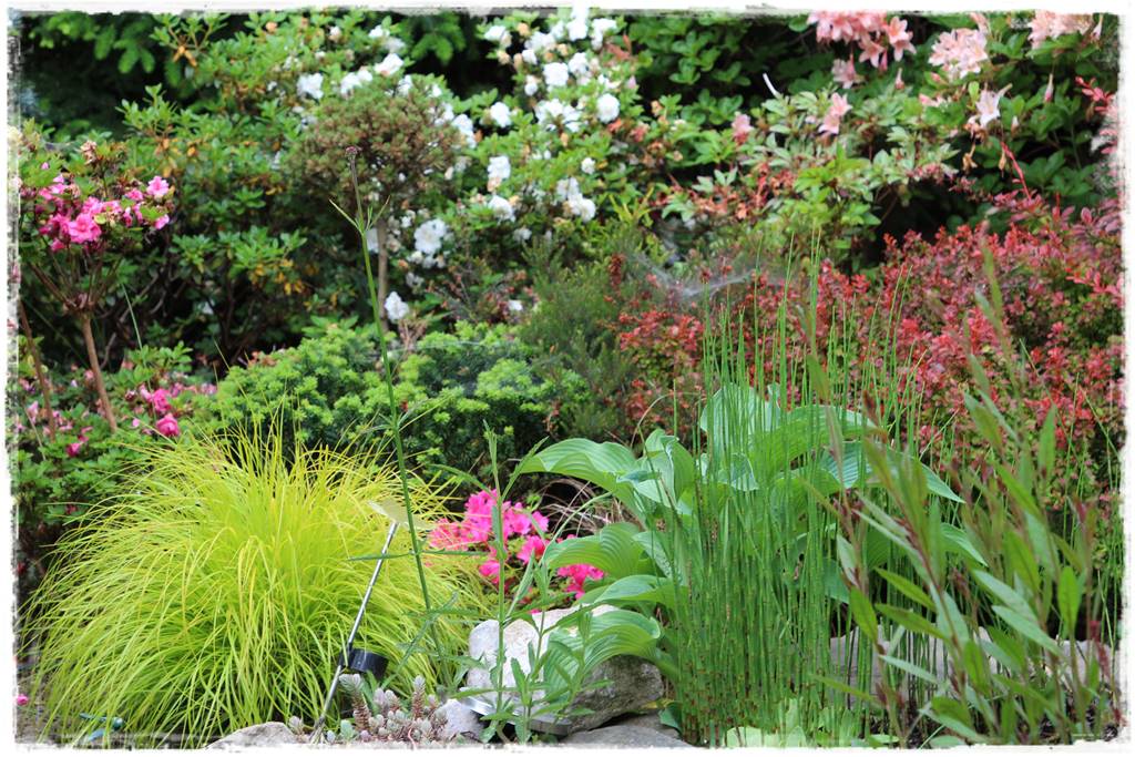 Ogród przy szeregówce 13