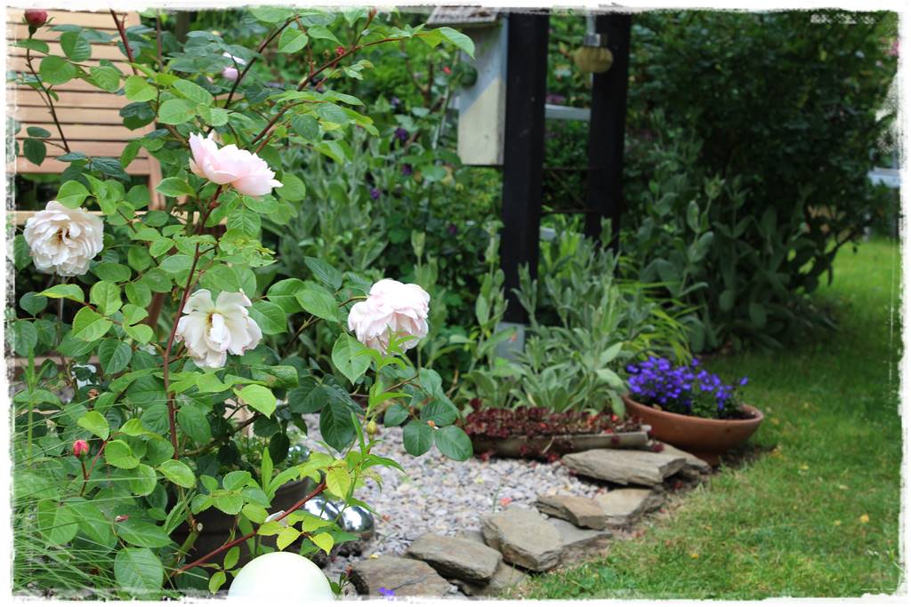 Ogród przy szeregówce 14