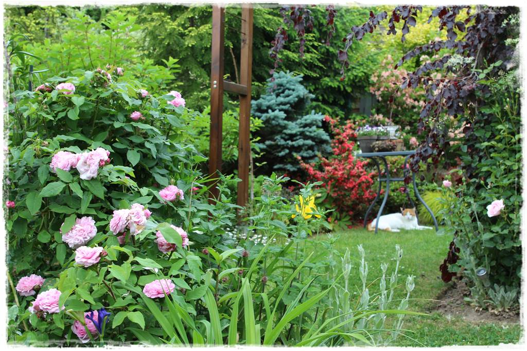 Ogród przy szeregówce 16