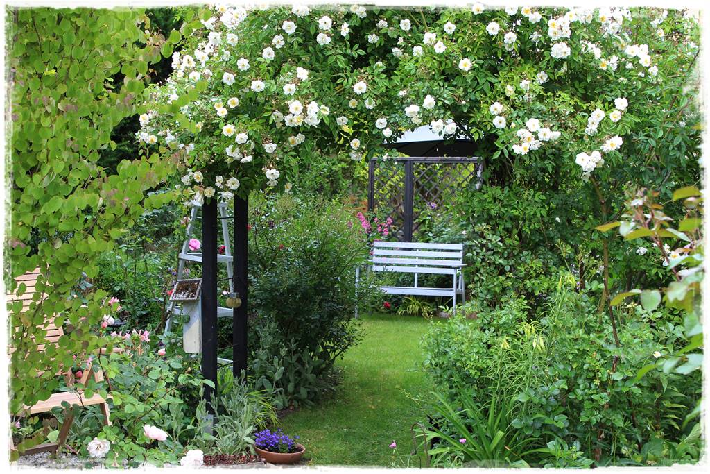 Ogród przy szeregówce 17