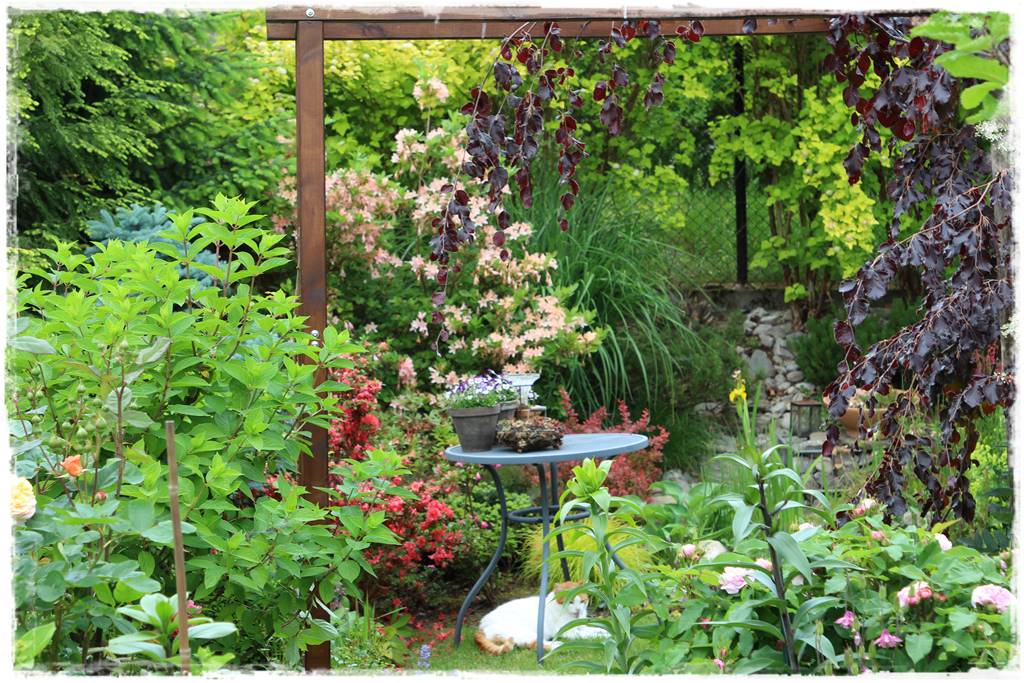 Ogród przy szeregówce 2