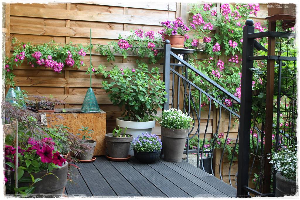 Ogród przy szeregówce 20