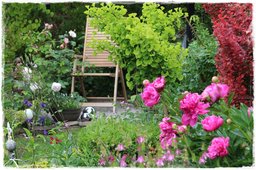 Ogród przy szeregówce 23