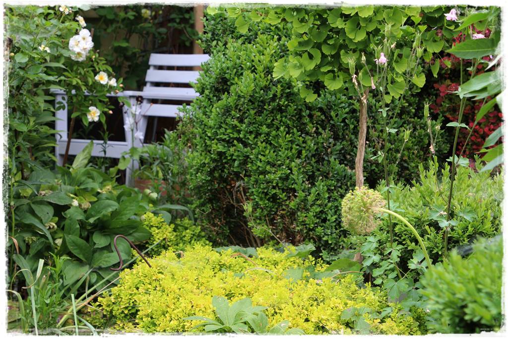 Ogród przy szeregówce 24