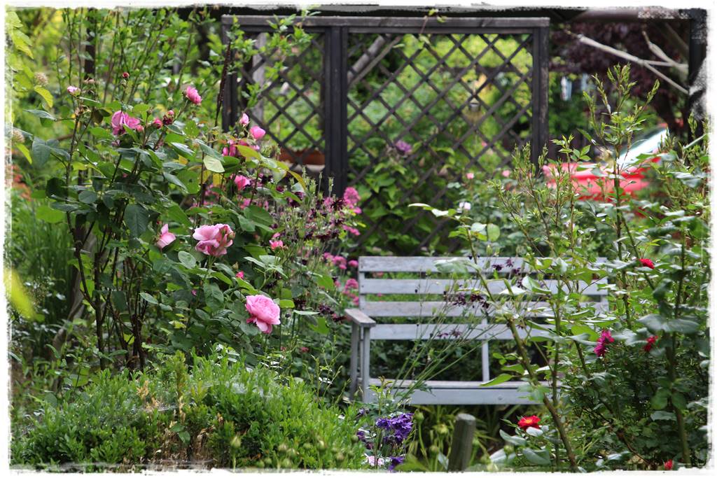 Ogród przy szeregówce 24a