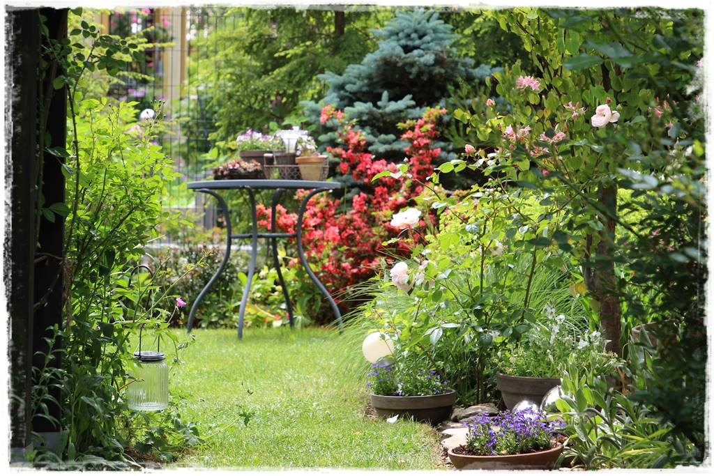 Ogród przy szeregówce 26