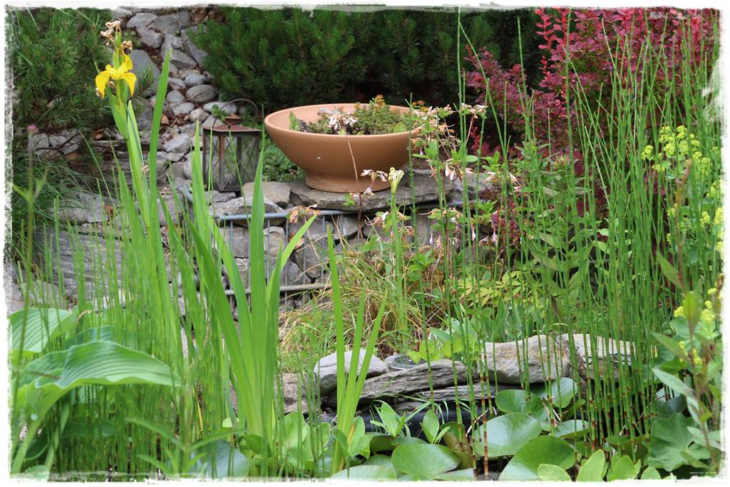 Ogród przy szeregówce 27