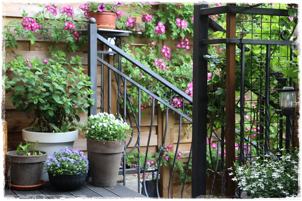 Ogród przy szeregówce 28