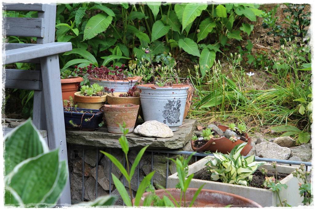 Ogród przy szeregówce 31