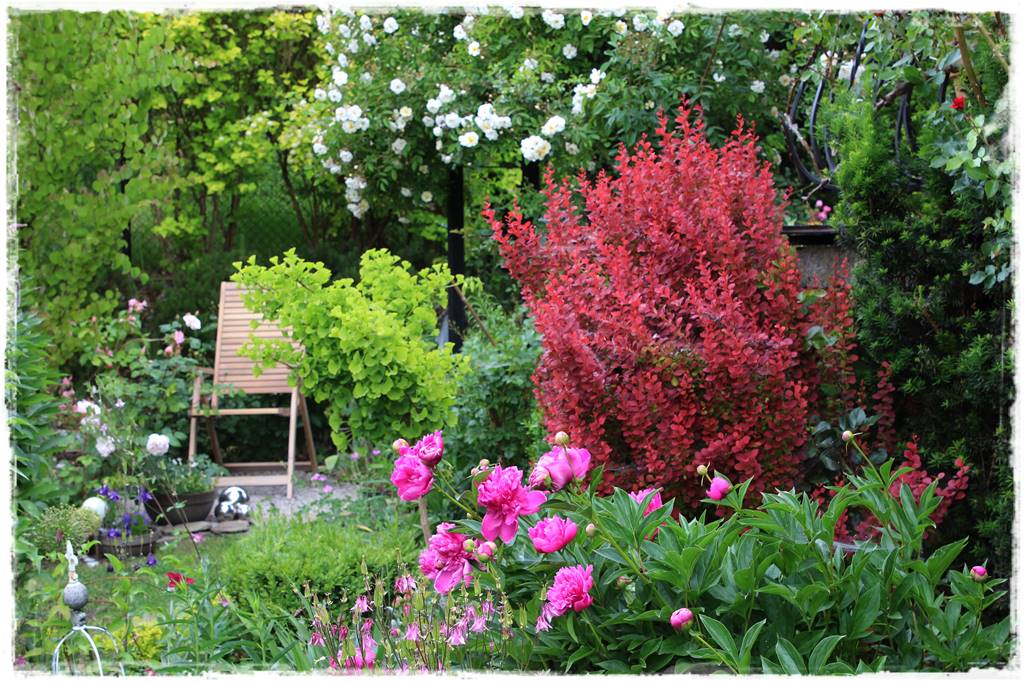 Ogród przy szeregówce 40