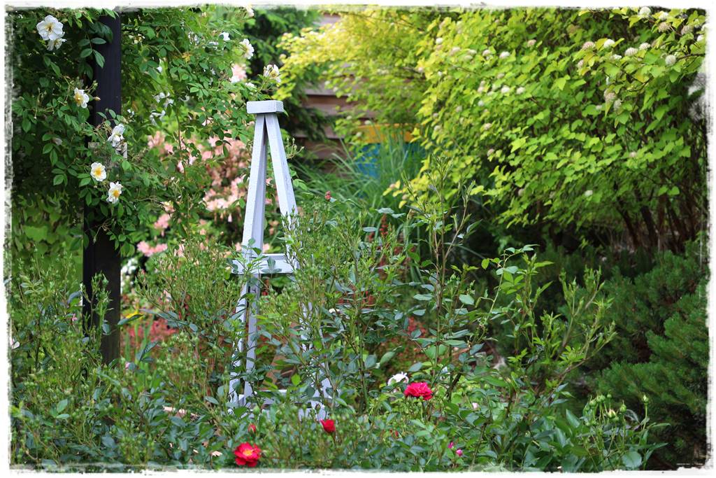 Ogród przy szeregówce 41